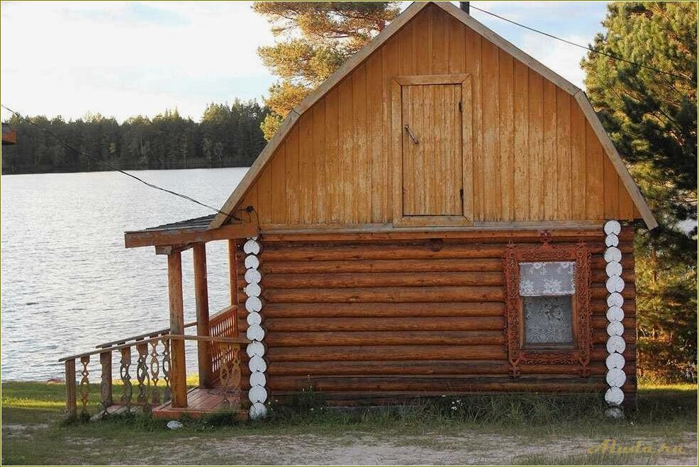 База отдыха Харская Заимка в Томской области: отличный выбор для отдыха на природе