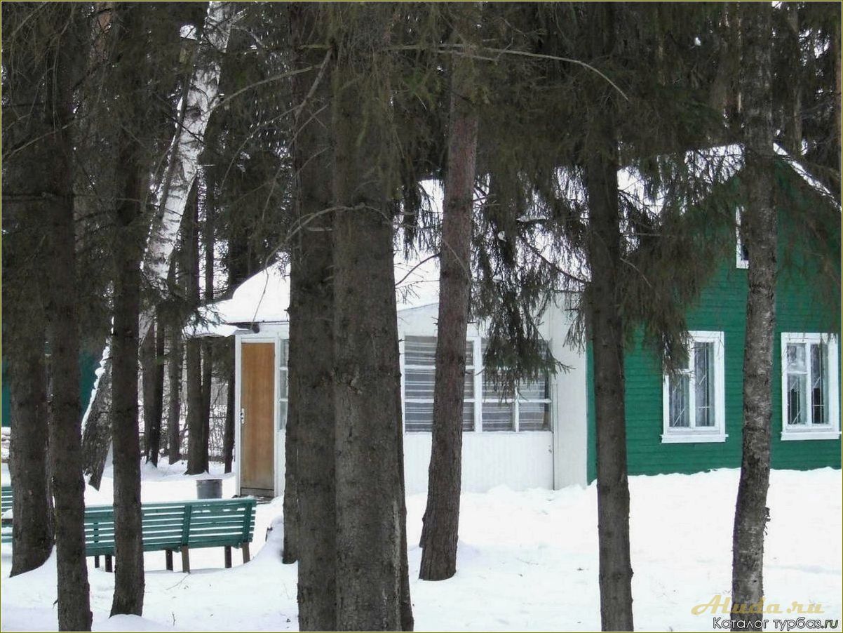 База отдыха Лесной родник в Ярославской области