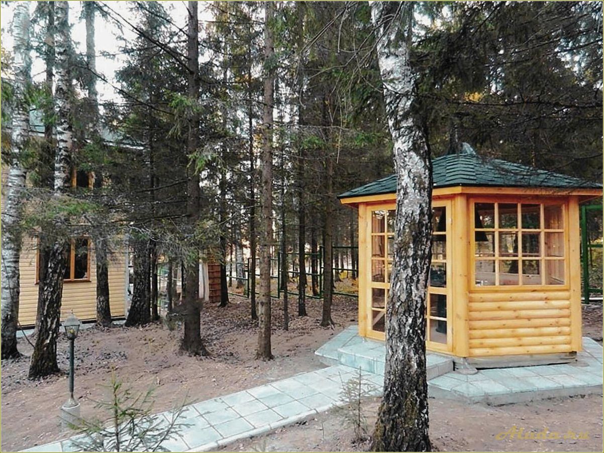 База отдыха Лесной родник в Ярославской области