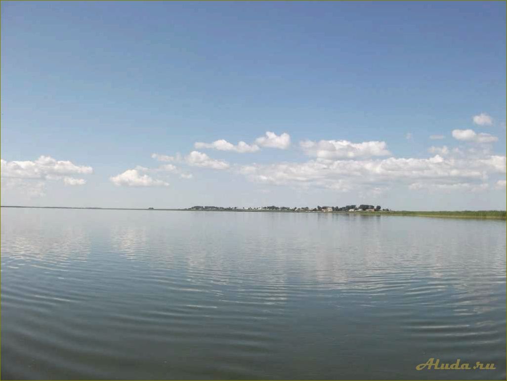 База отдыха на озере Сартлан в Новосибирской области — идеальное место для семейного отдыха и активного времяпрепровождения