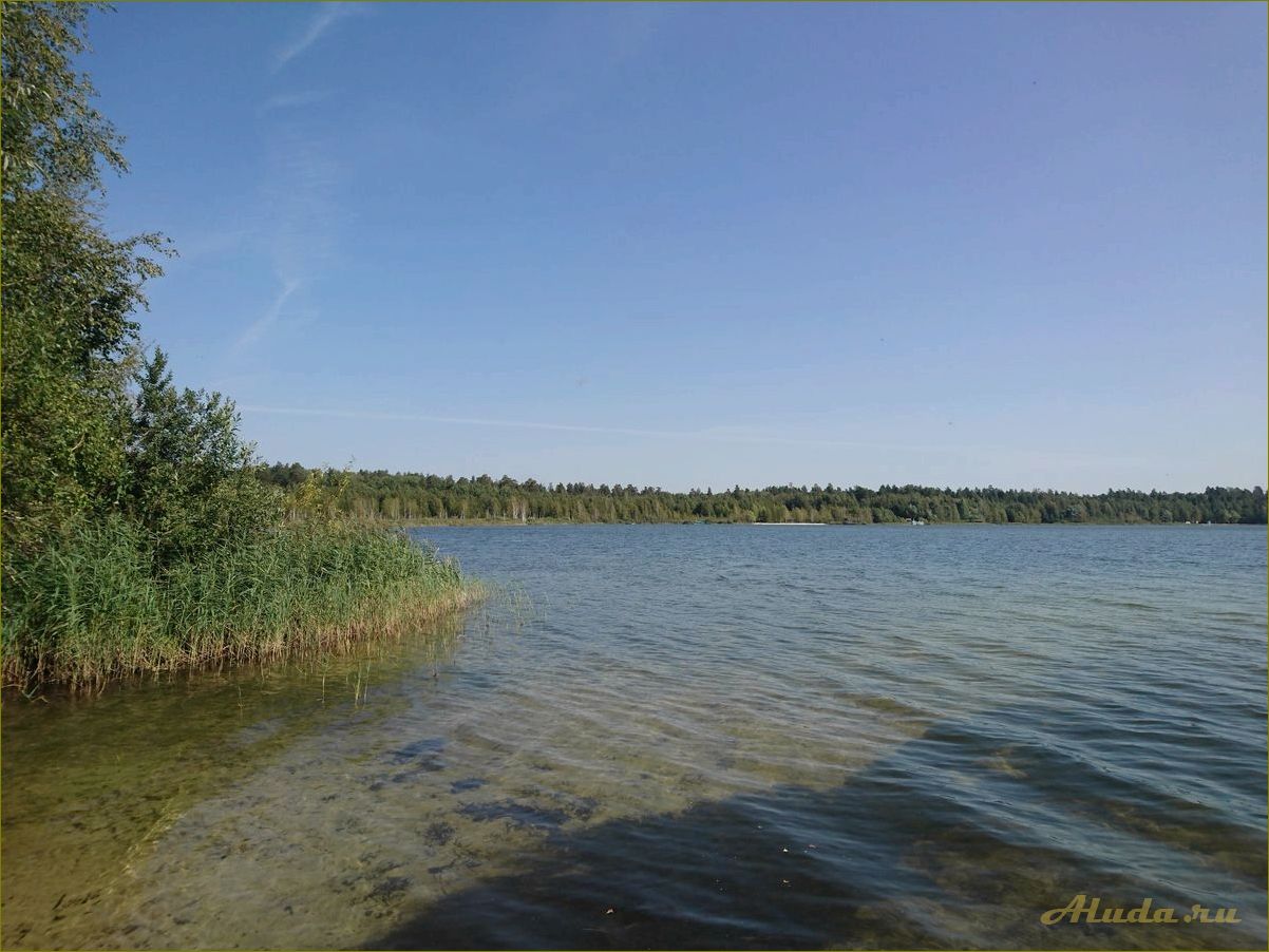 База отдыха ульяновская область Белое озеро Николаевский