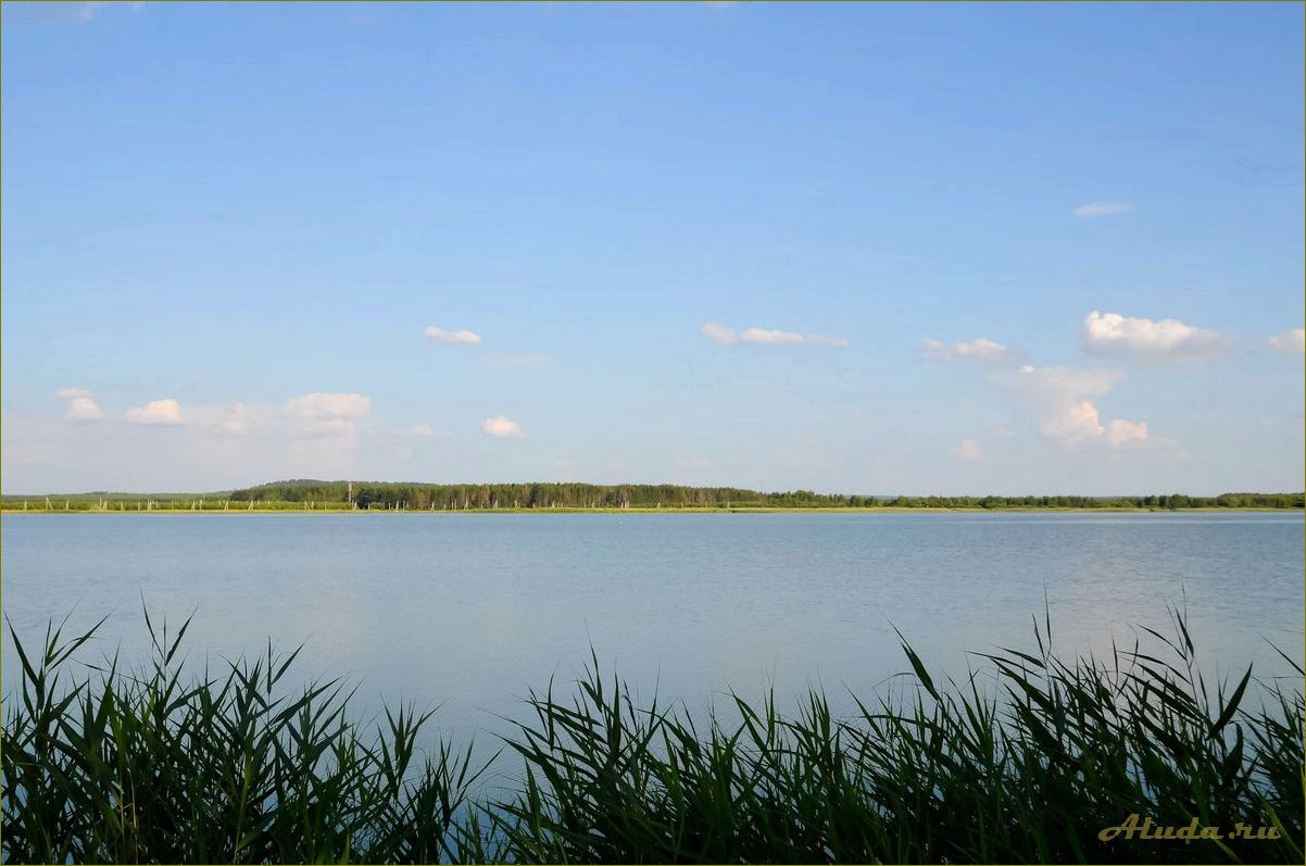 База отдыха ульяновская область Белое озеро Николаевский