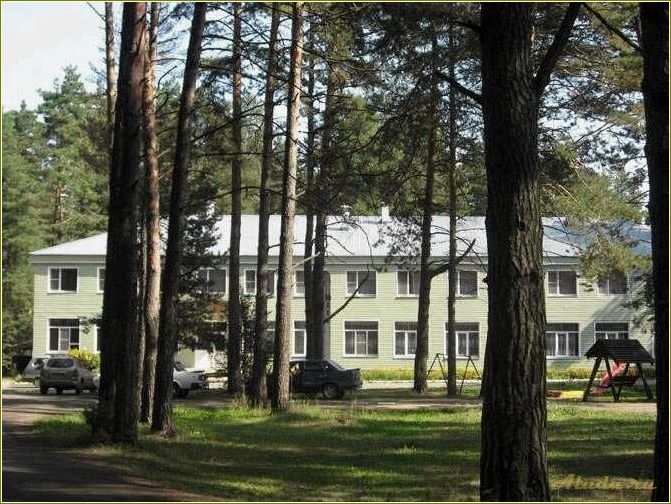 Лучшие базы отдыха в Рязани и Рязанской области для семейного отдыха с детьми