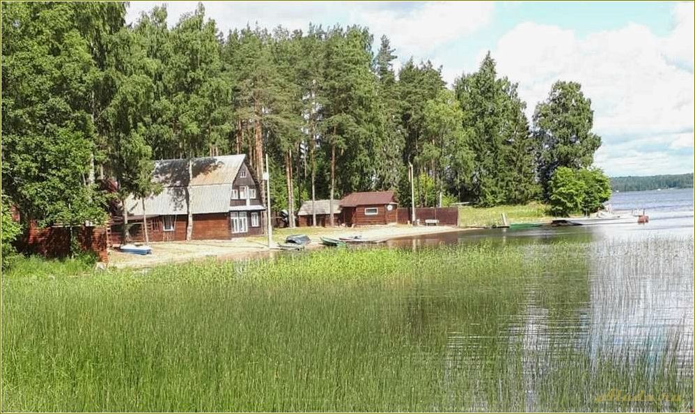 Базы отдыха в Тверской области недорого у воды