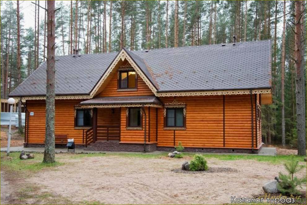 Бурый медведь — база отдыха в Новгородской области