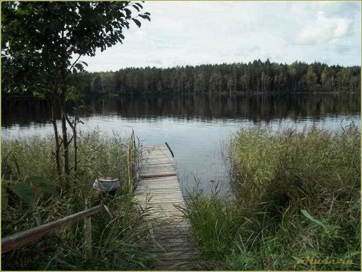 Любенец — уникальная база отдыха в Псковской области для комфортного и активного отдыха на природе