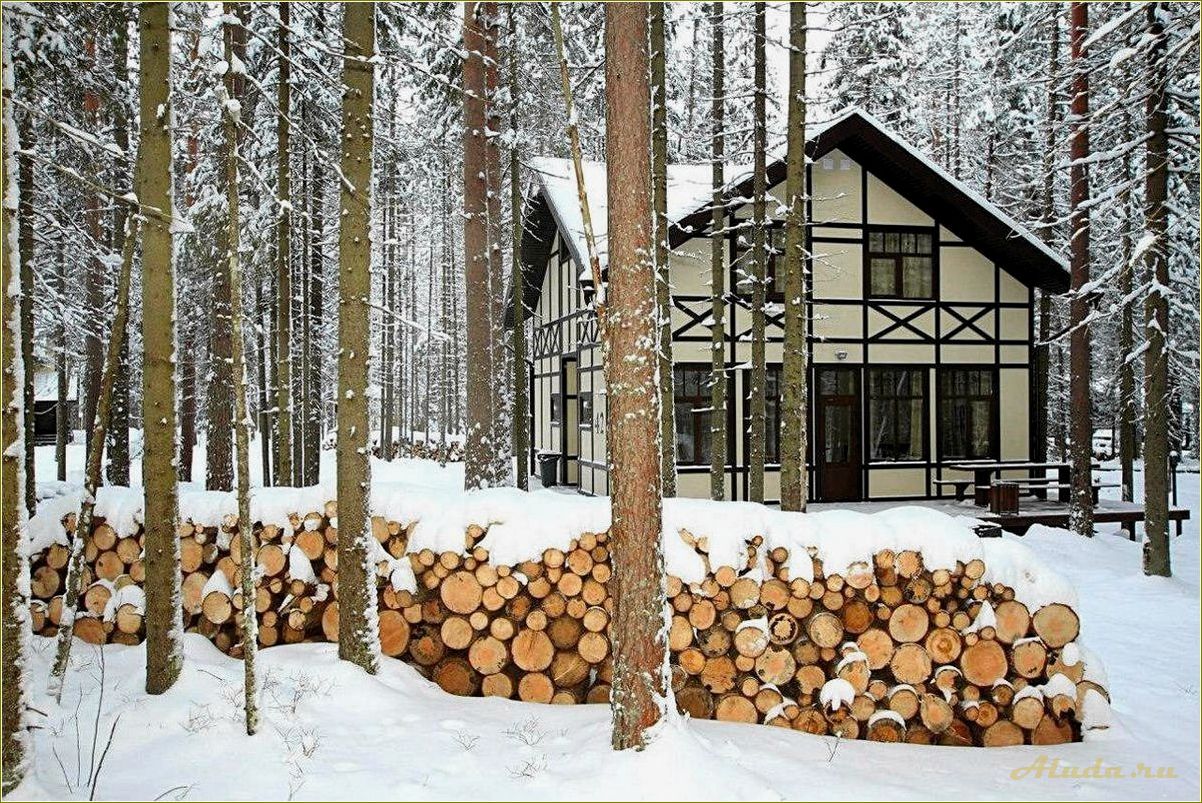 База отдыха в Ленинградской, Псковской и Новгородской областях — идеальное место для отдыха и развлечений
