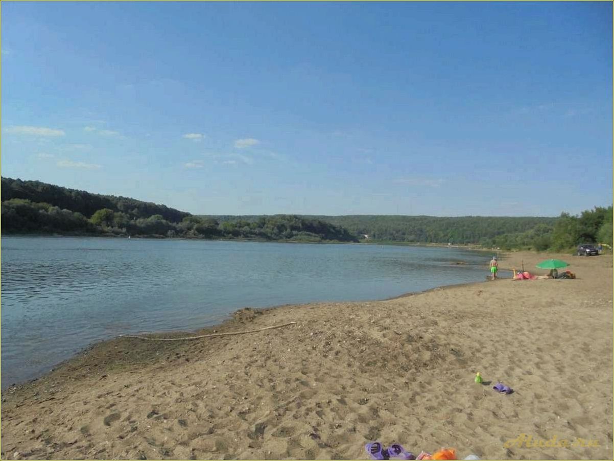 База отдыха в Тульской области Ока: комфорт и релаксация на берегу реки