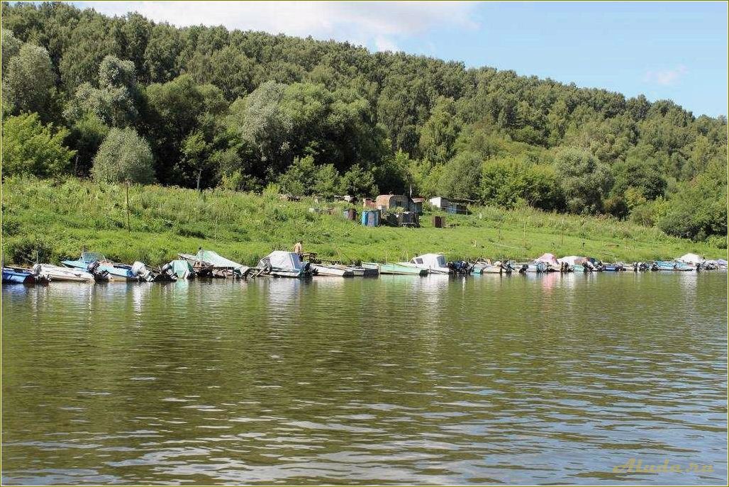 База отдыха в Тульской области Ока: комфорт и релаксация на берегу реки
