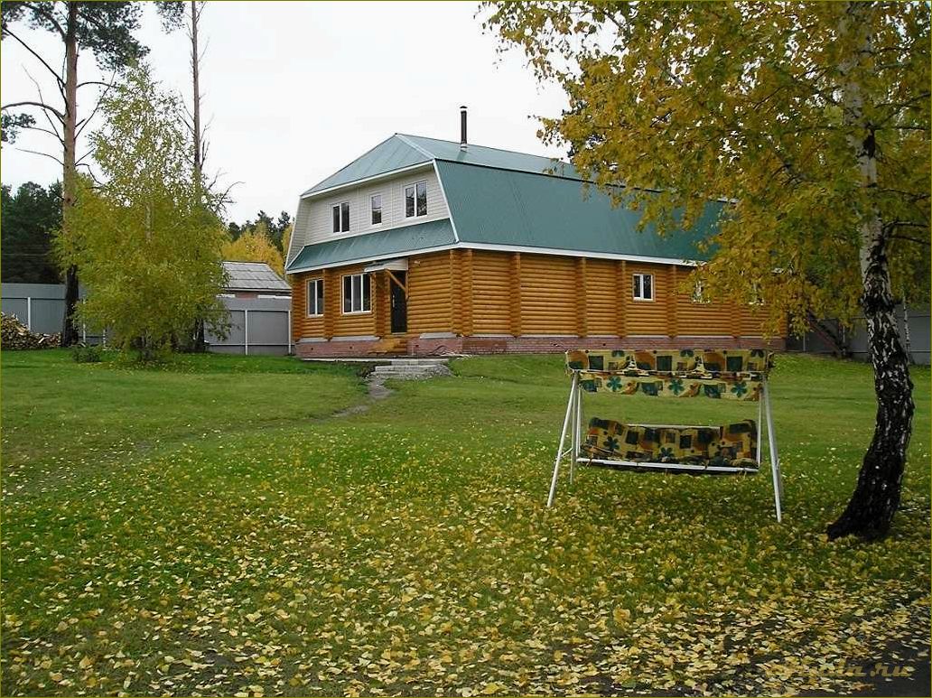 База отдыха в Артын Муромцевском районе Омской области — идеальное место для релакса и наслаждения природой