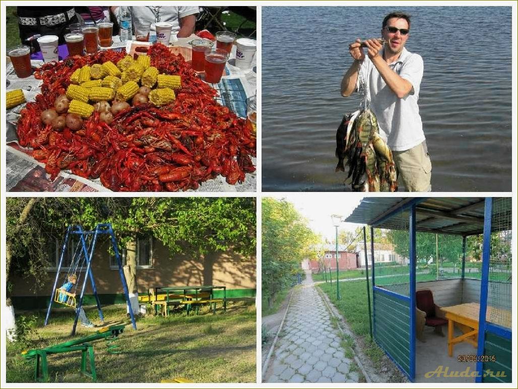 База отдыха в Ростовской области, Сальский район — идеальное место для отдыха и релаксации