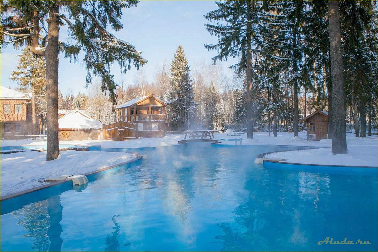 Роскошная база отдыха с баней и бассейном в живописной новгородской области для полного релакса и наслаждения