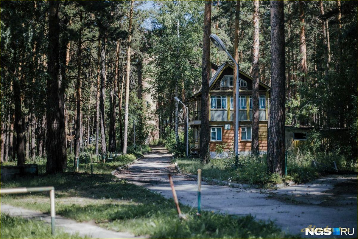 База отдыха в Завьялово, Новосибирская область — наслаждайтесь природой в Караканском бору