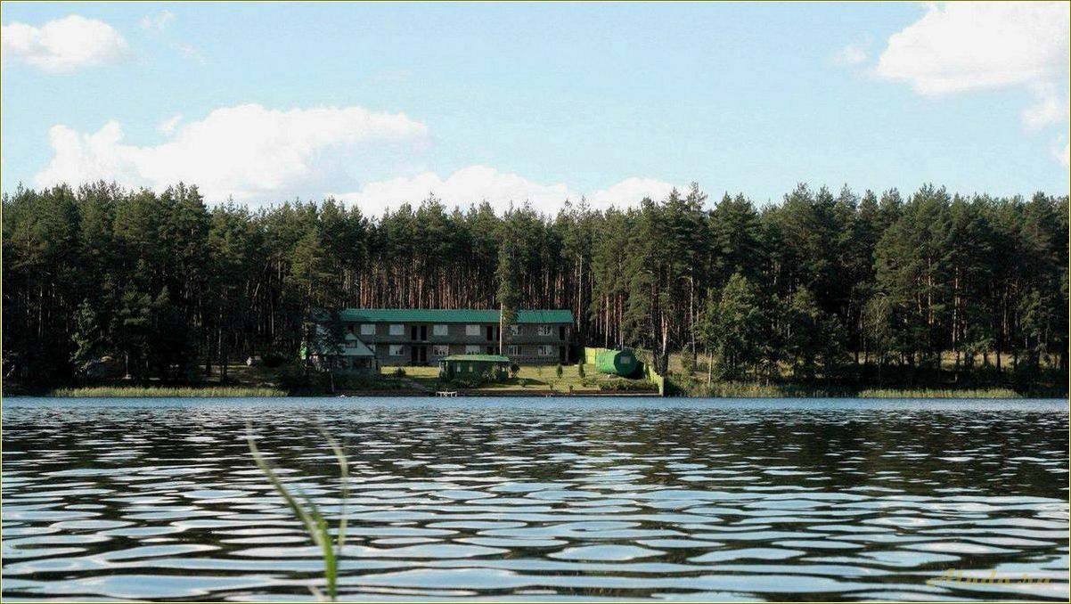 Белое озеро — рязанская область и северное базы отдыха