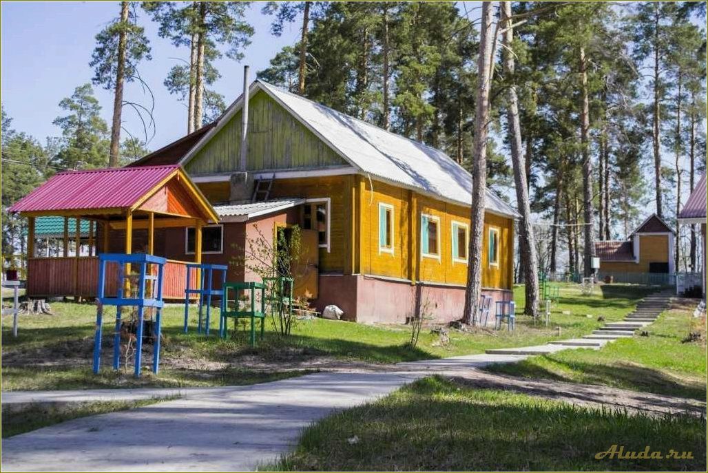 Никонова база отдыха в Пензенской области — идеальное место для семейного отдыха и активного времяпровождения