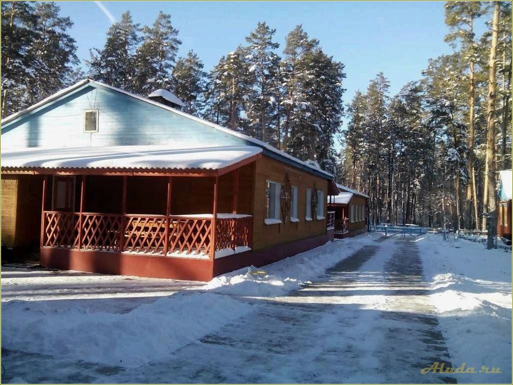 Никонова база отдыха в Пензенской области — идеальное место для семейного отдыха и активного времяпровождения