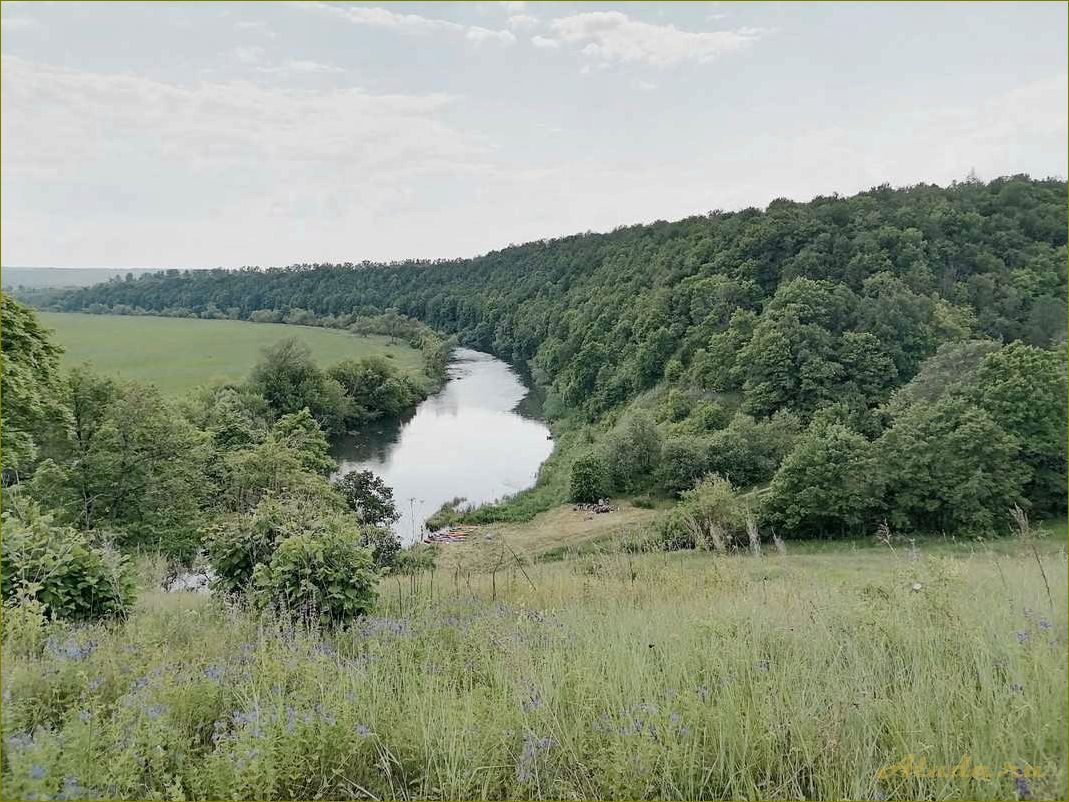 Отдых на реке Зуша Орловская область — идеальное место для спокойного отдыха на природе