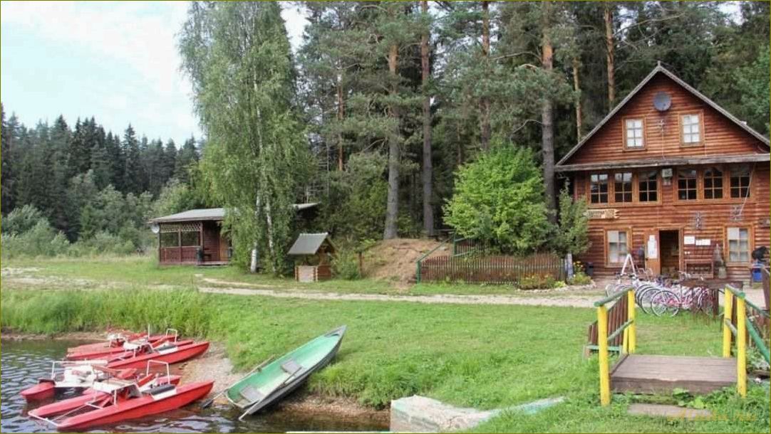 Отдых в Новгородской области у озера — недорого, с рыбалкой и комфортными условиями