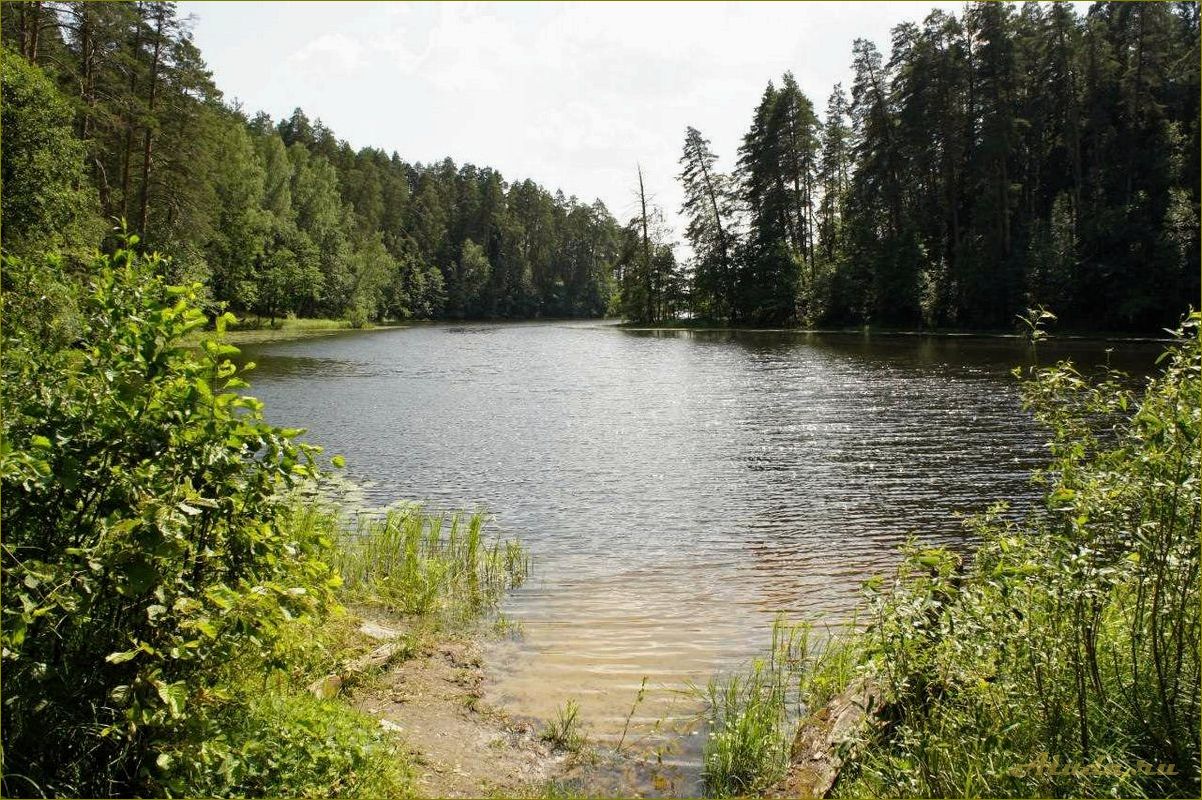 Природный уголок в Нижегородской области — уникальное озеро для идеального отдыха