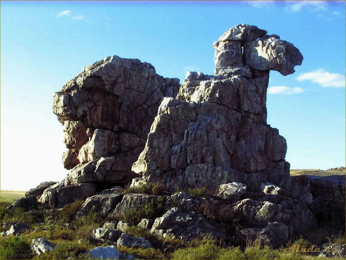 Удивительные природные достопримечательности Оренбургской области, которые стоит увидеть воочию