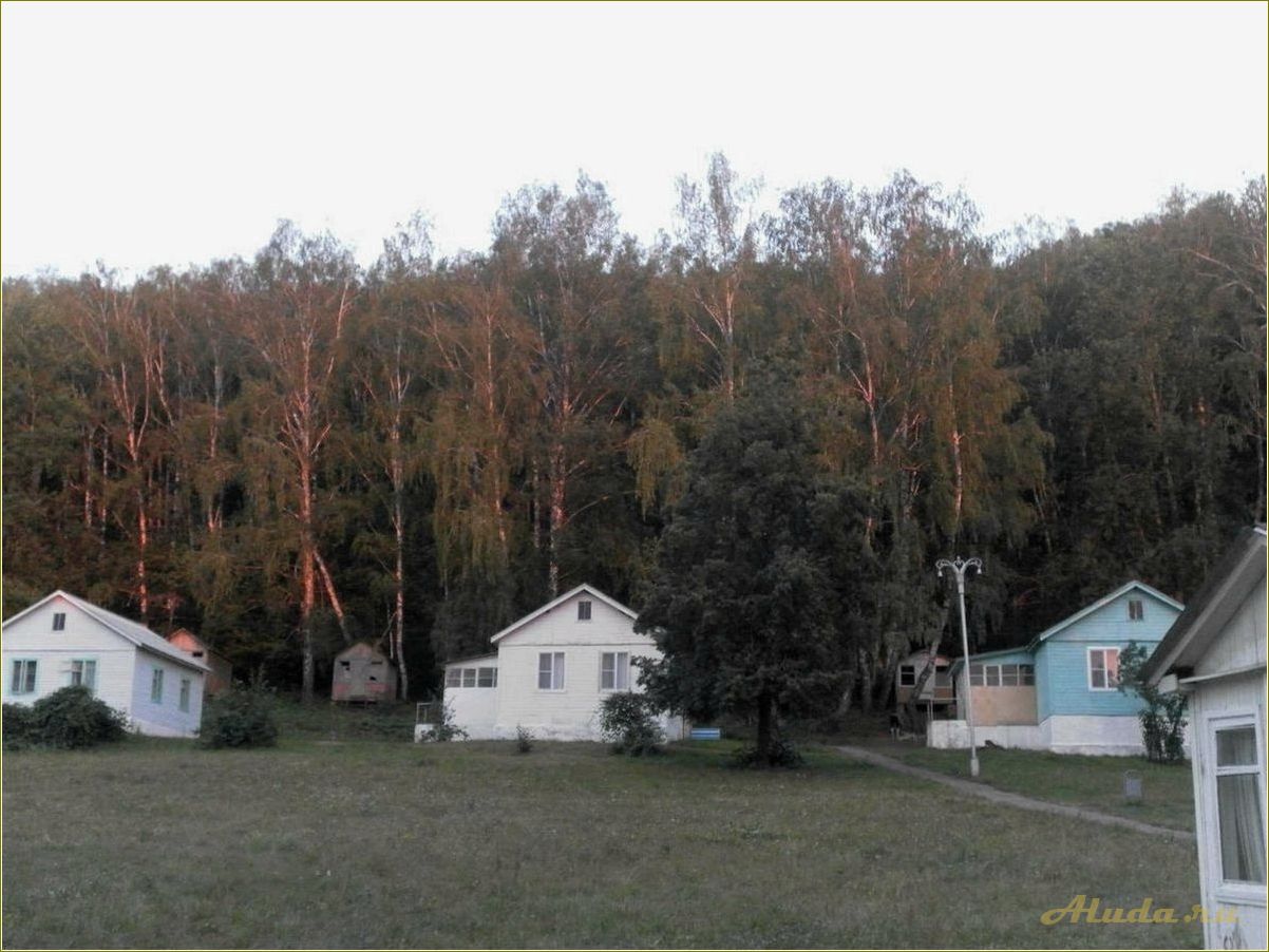 База отдыха в Шилово Тульской области: отличный выбор для отдыха на природе