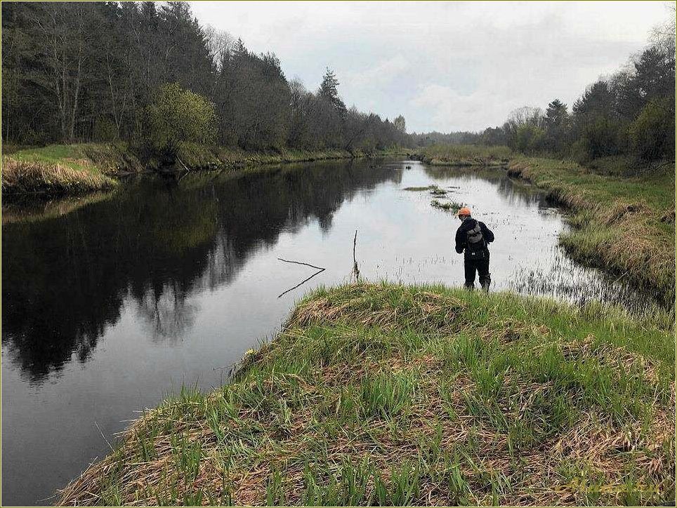 Тверская область: отдых на Волге и рыбалка