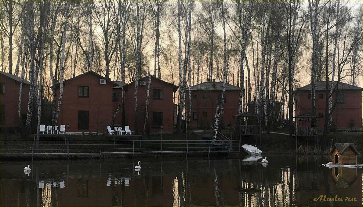 Золотая рыбка база отдыха в Орловской области — идеальное место для релакса и развлечений