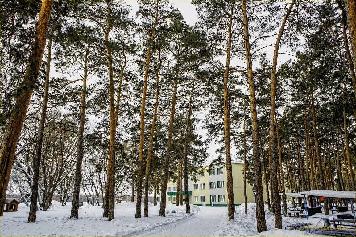 База отдыха им. Покрышкина в Омской области — комфортный отдых на берегу реки Иртыш