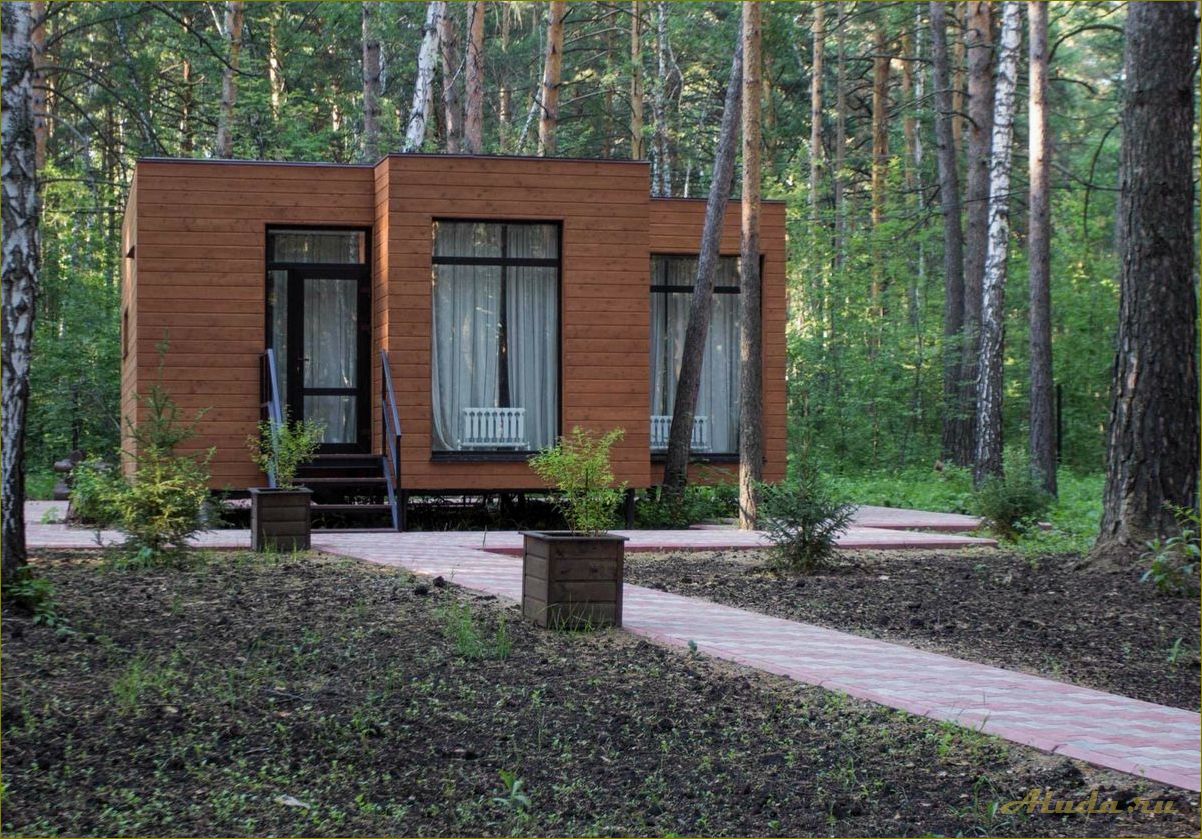 База отдыха в лесу Новосибирской области — идеальное место для отдыха на природе