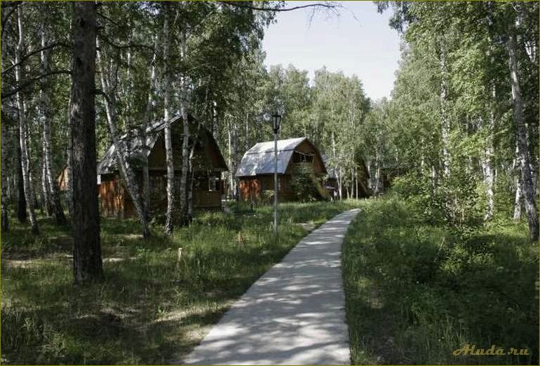 База отдыха в лесу Новосибирской области — идеальное место для отдыха на природе