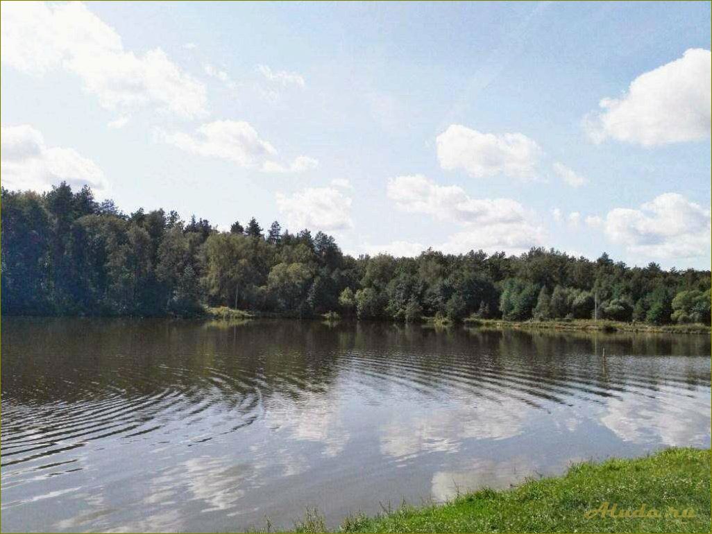 База отдыха в Дмитровском районе Орловской области — идеальное место для отдыха на природе
