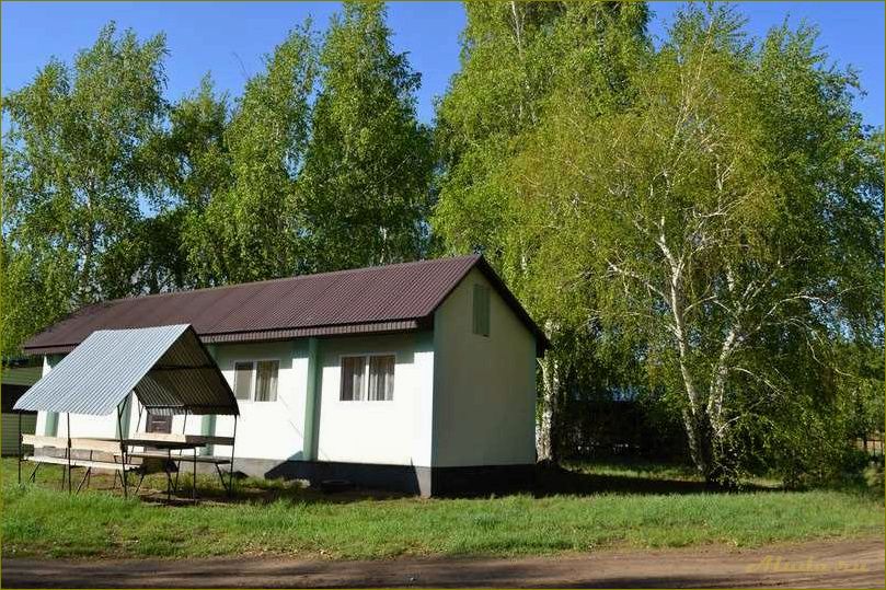 База отдыха на Димитрово — идеальное место для отпуска в Оренбургской области