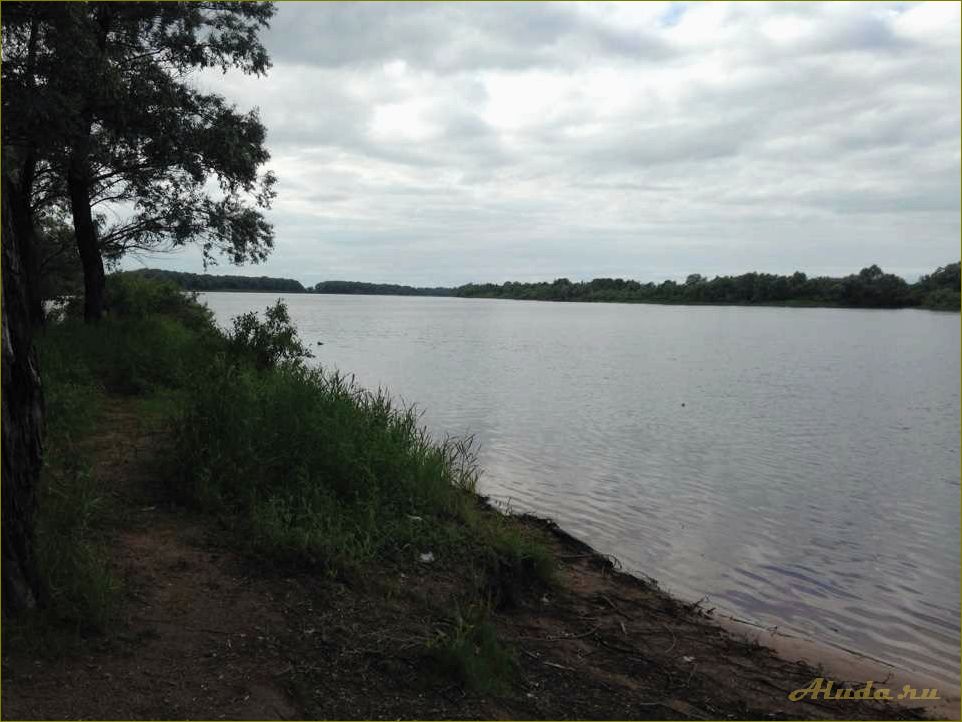База отдыха на реке Ловать в Новгородской области — комфорт и развлечения для всей семьи