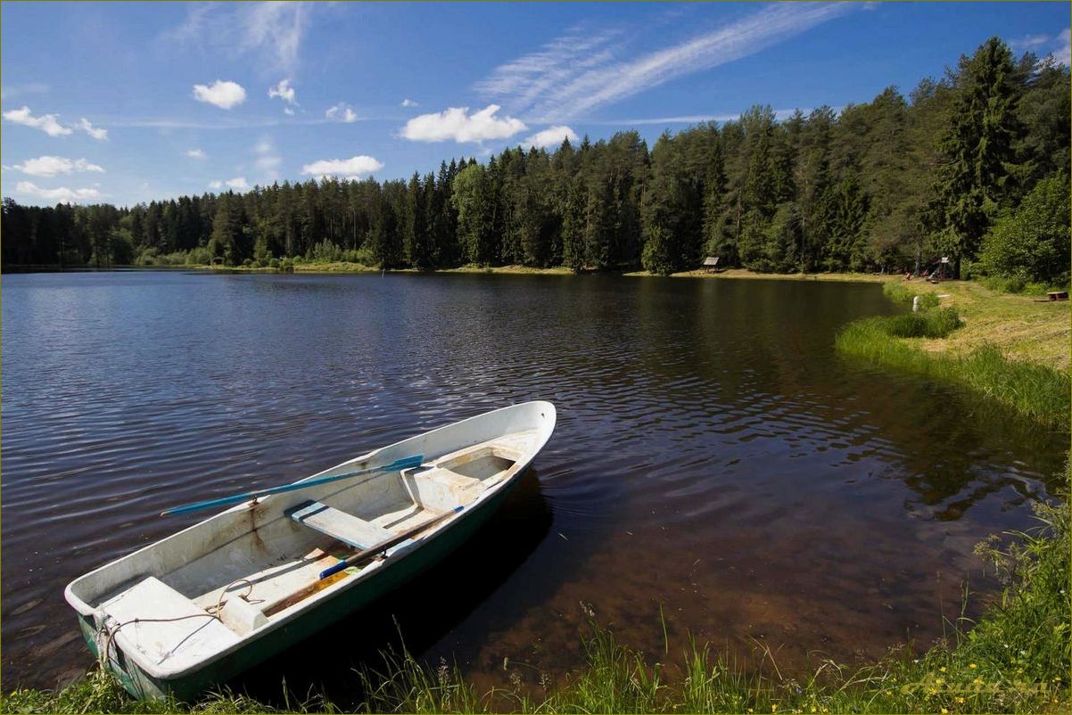База отдыха на реке Ловать в Новгородской области — комфорт и развлечения для всей семьи
