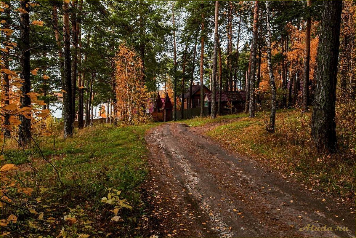 База отдыха в Белоярке Новосибирской области — идеальное место для отдыха и развлечений