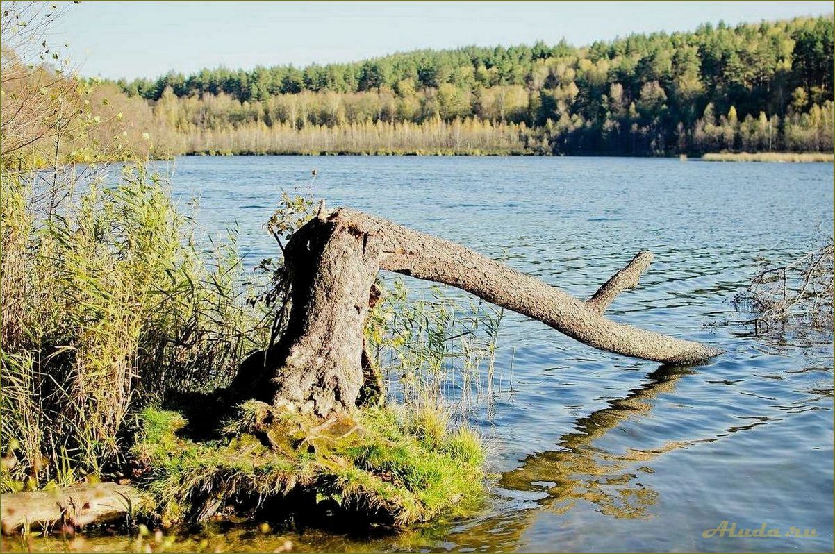 Отдых на озерах Ульяновской области