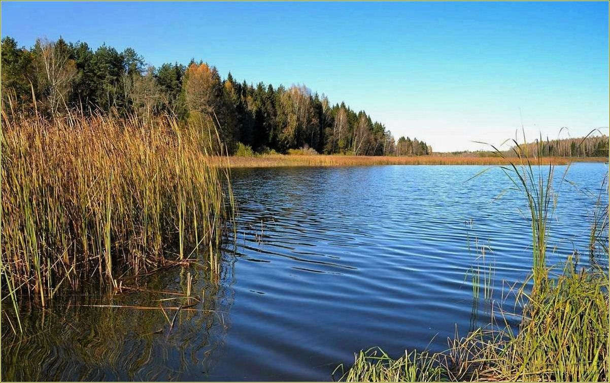 Отдых на реках и озерах Смоленской области