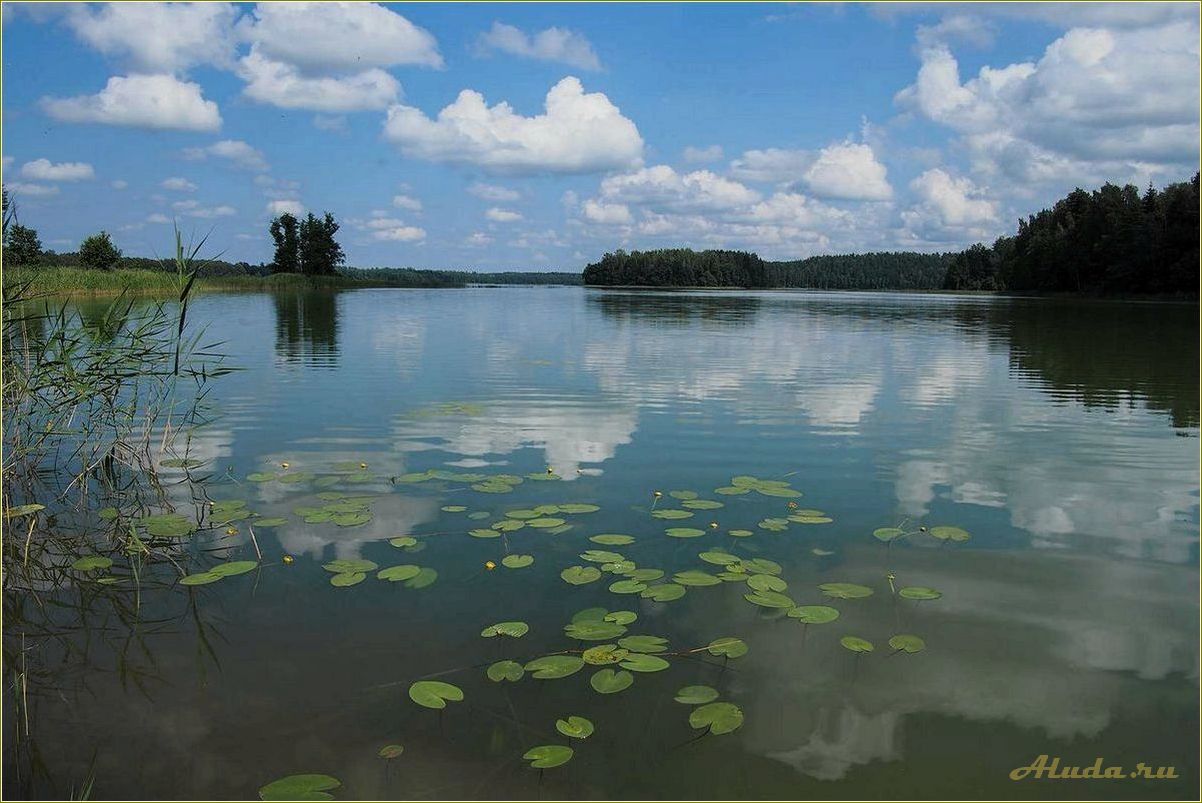 Отдых на реках и озерах Смоленской области