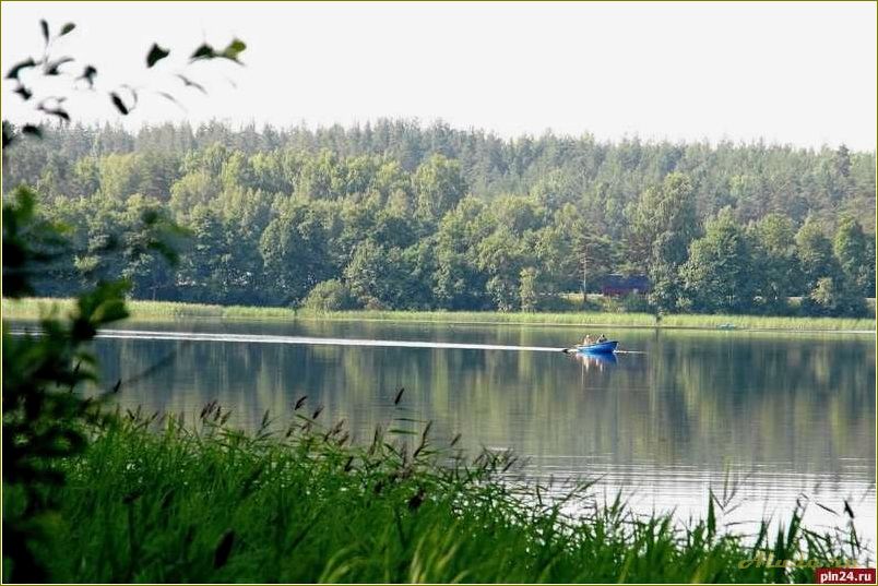 Раскройте потенциал отдыха с детьми на озерах Псковской области — идеальные места для семейного отдыха и активного времяпрепровождения