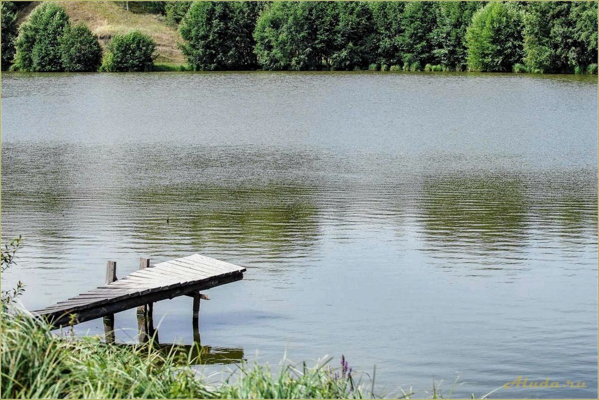 Платные озера самарской области для комфортного и разнообразного отдыха на природе
