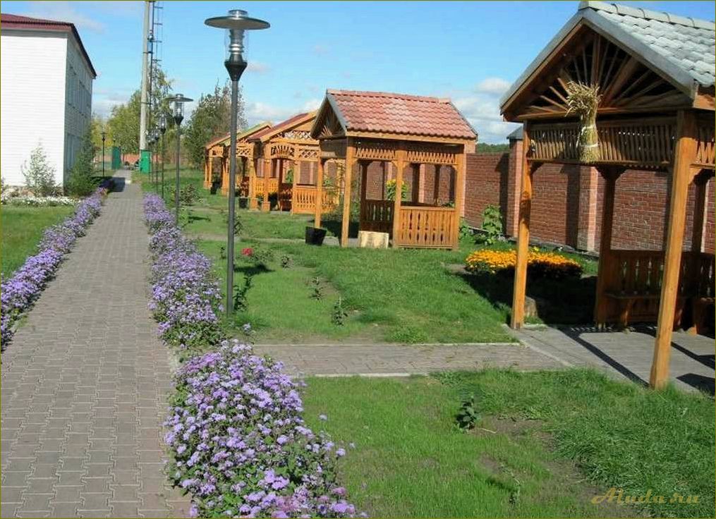 База отдыха в крутинке омской области — идеальное место для спокойного и комфортного отдыха на природе
