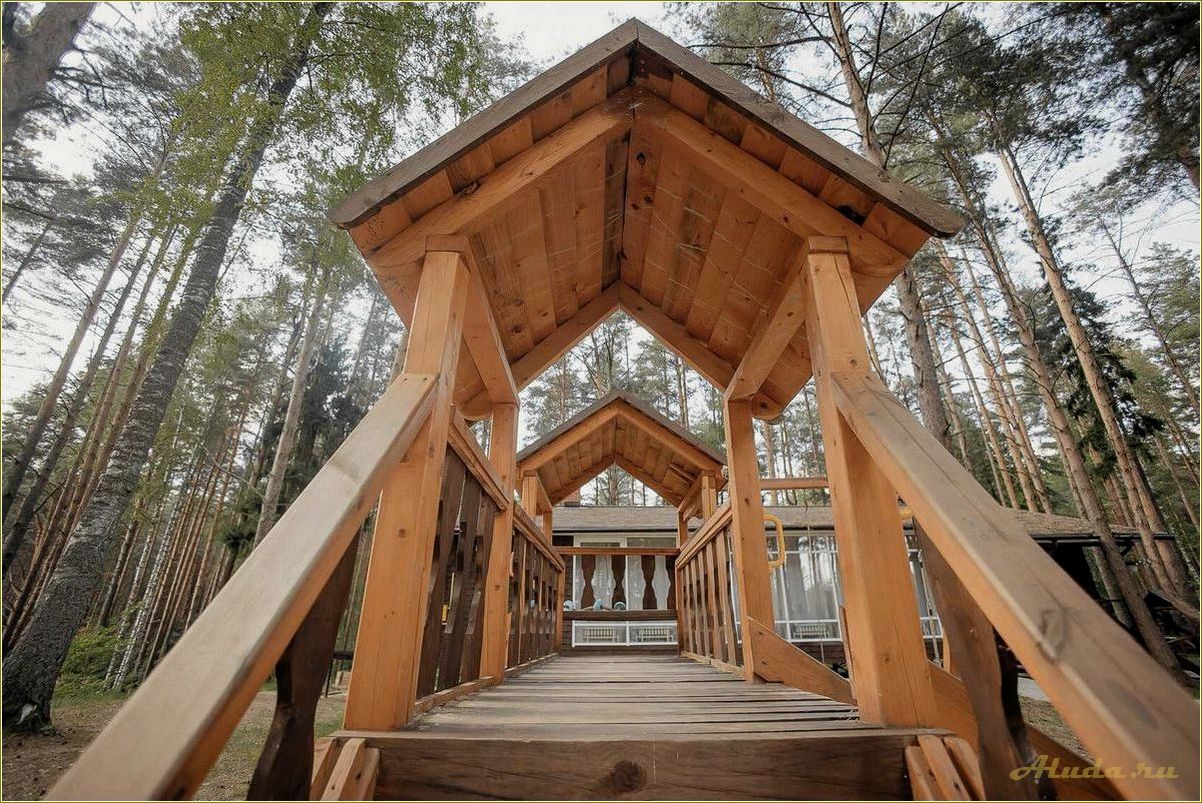 База отдыха в лесу Ярославской области: идеальное место для отдыха на природе