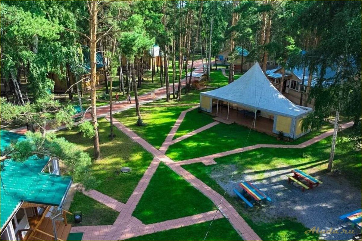 Недорогая база отдыха в новосибирской области — идеальное место для расслабленного отдыха и насыщенных развлечений