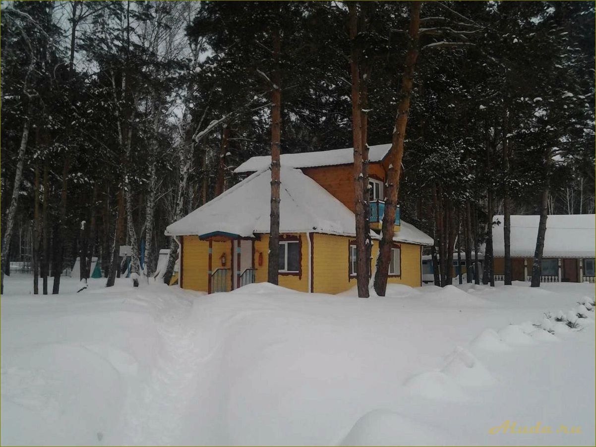 Лучшие базы отдыха в новосибирской области с увлекательными экскурсиями в сопровождении опытных гидов