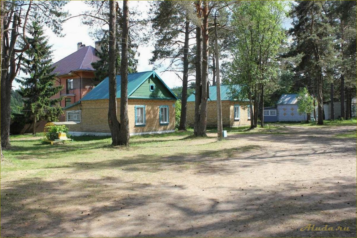 Лучшие базы отдыха и санатории Новгородской области — отдыхайте на природе в окружении красивых лесов и озер!