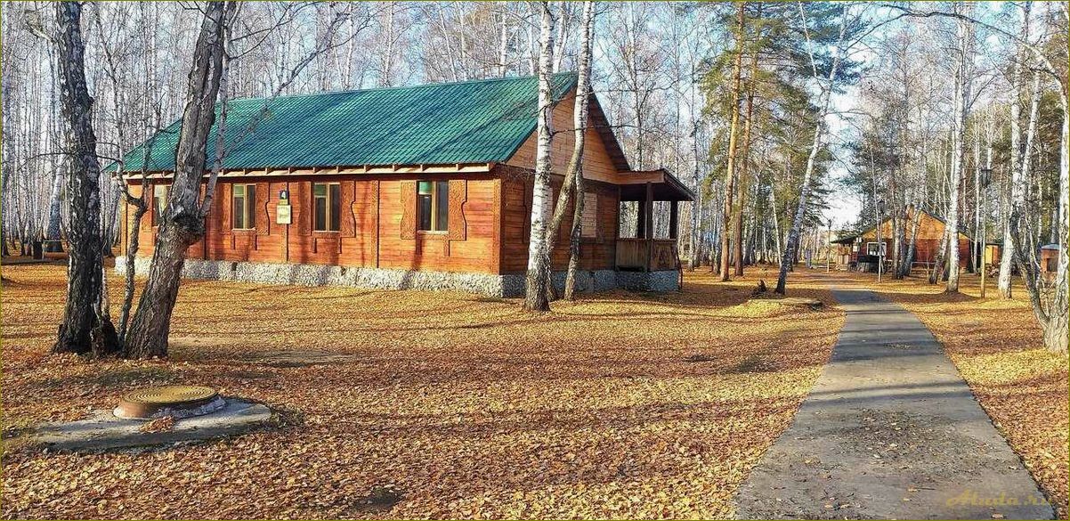 Удивительная лестница базы отдыха в Новосибирской области — откройте для себя великолепие природы и комфорт отдыха