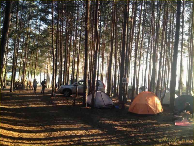 Лучшие места для отдыха с палатками в Новосибирской области