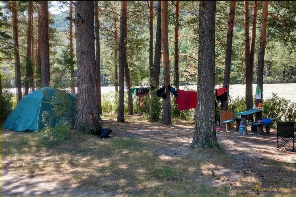Лучшие места для отдыха с палатками в Новосибирской области