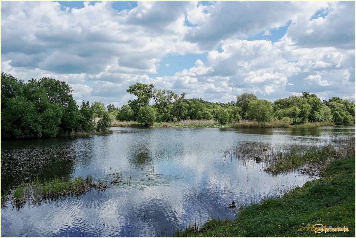 Отдых на реке Цна в Тамбовской области: лучшие места и развлечения