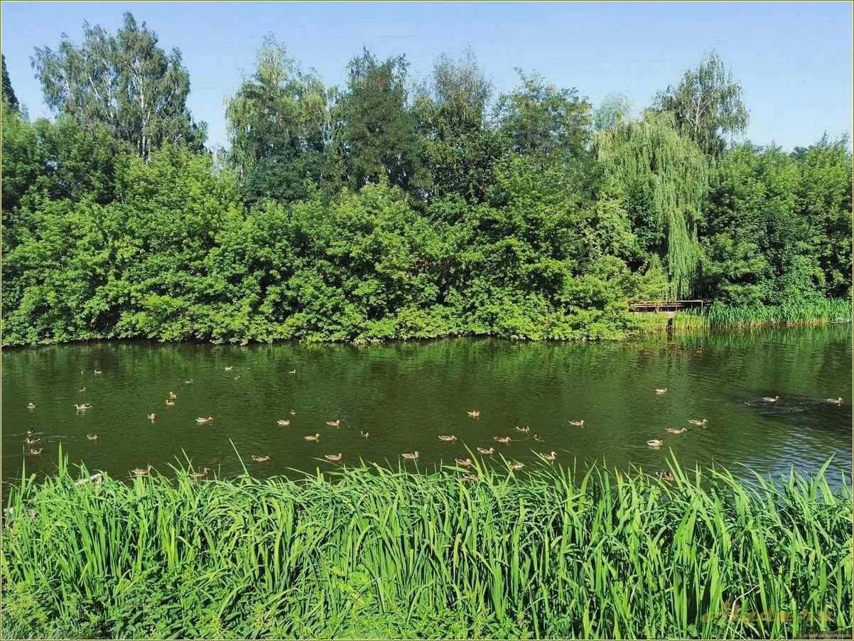 Отдых на реке Цна в Тамбовской области: лучшие места и развлечения